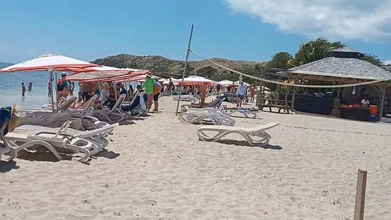 Cockleshell Beach Excursion