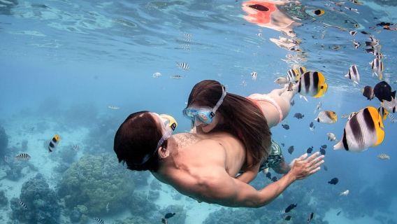 Bora Bora: Jet Ski, pranzo e safari tra squali e razze