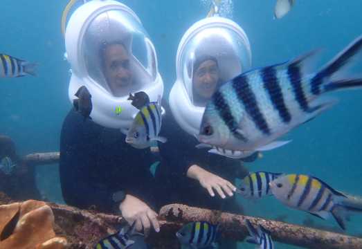 IndonesiaBaliNusa DuaDiscover divingscuba diving0.5 hours [Sea Walk Adventure]