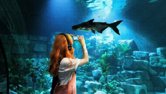 Hà NộiTour Trong Ngày