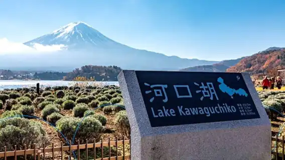 Direct one-way express bus ticket: Tokyo to Kawaguchiko