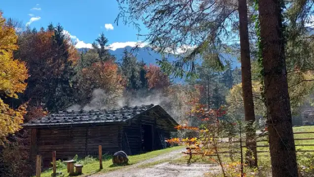 Salzburger Freilichtmuseum: A Journey Through Time