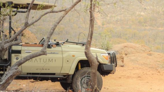 Safari de los 5 grandes por la mañana o por la tarde