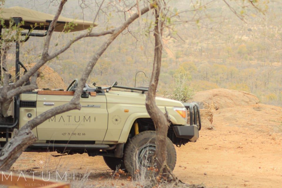 Big 5 Safari am Vormittag oder Nachmittag