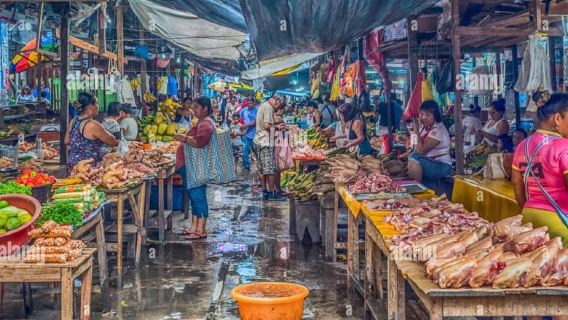 Discover Iquitos: City Tour and the Belen Market