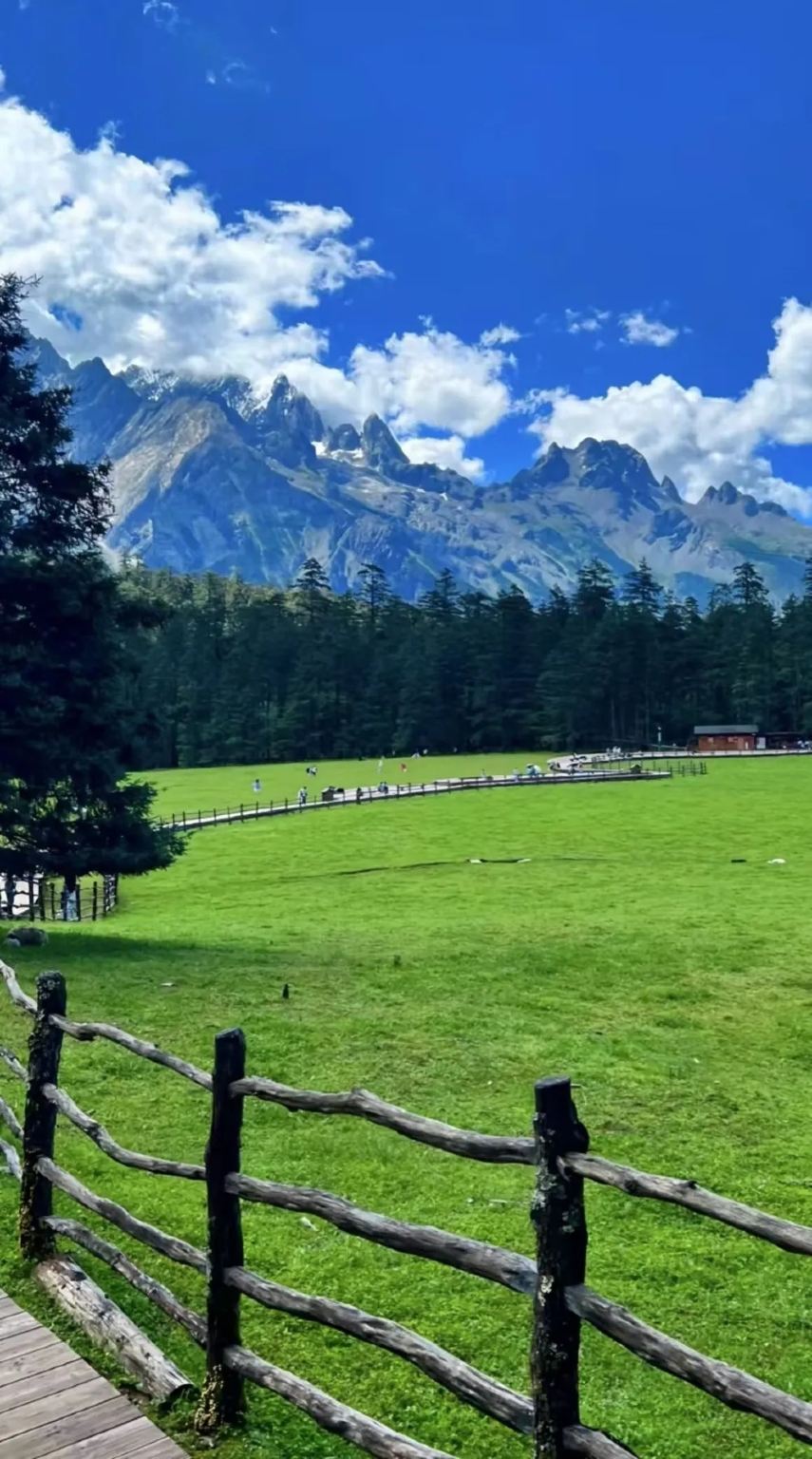 Excursión de un día a la montaña nevada Yulong + Prado de abetos y valle de la luna azul + regalo de tres tesoros + grupo pequeño de 8 personas|Gratis en días soleados