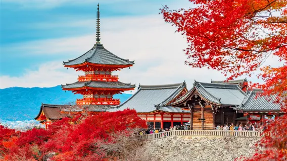 Kyoto + Nara Encounter Cute Deer Classic Panoramic one-day tour[Upgradeable to 9-person Small Group Hotel Pickup]