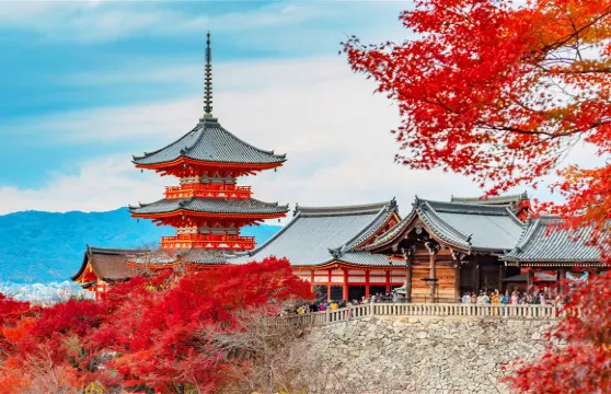 日本京都祇園+奈良全景一日遊,餵小鹿,可選9人小團酒店接送