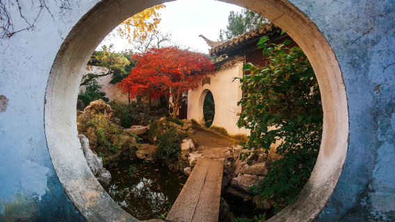 [Shanghai Privattransfer] Suzhou-Gartenmuseum + Yi-Garten + Lion Grove Garden + [Elegante kleine Gärten]