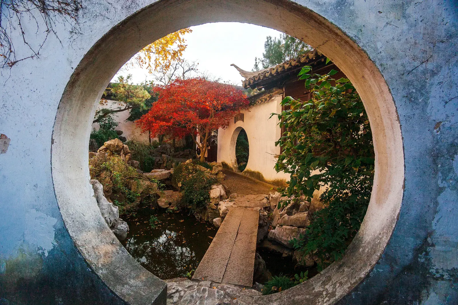 [Shanghai Privattransfer] Suzhou-Gartenmuseum + Yi-Garten + Lion Grove Garden + [Elegante kleine Gärten]