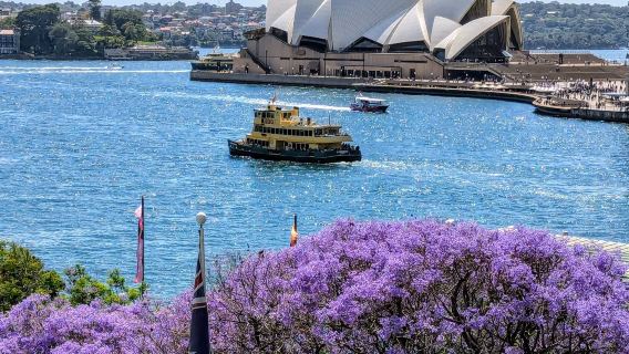雪梨市區經典一日遊【邦迪海灘+魚市+歌劇院+港大橋】