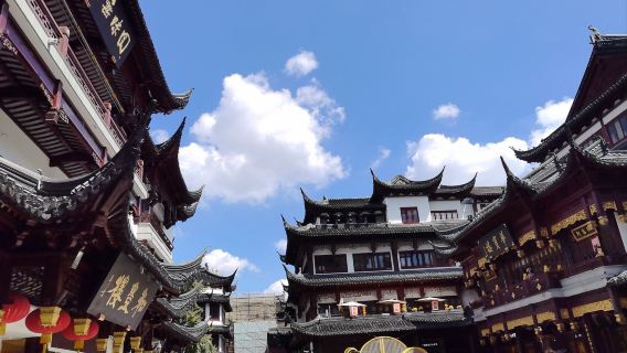 Aeroporto di Pudong + Oriental Pearl Tower + Tempio del Dio della Città, itinerario personalizzabile in Cina