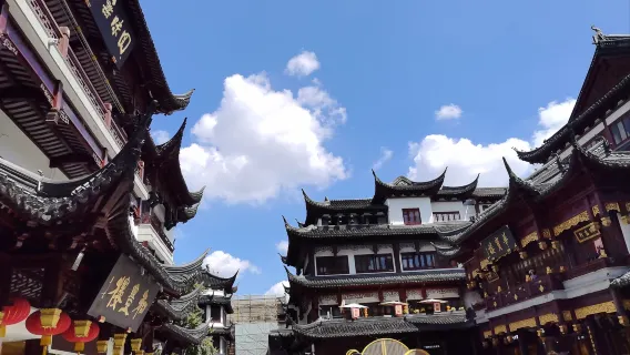 Aeroporto di Pudong + Oriental Pearl Tower + Tempio del Dio della Città, itinerario personalizzabile in Cina