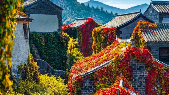 lawatan sehari di Gubei Water Town|Pilihan lawatan siang/malam ke Tembok Besar Simatai & tontonan pertunjukan air muzik