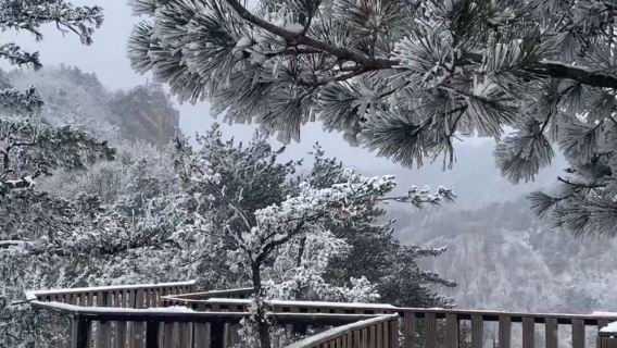 Nanyang Departure + Group Tour with Free ¥60 Admission Ticket - Xixia Laojieling 1-day Tour