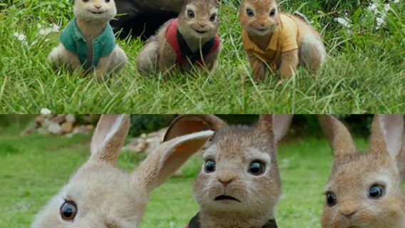 英國曼徹斯特溫德米爾湖+彼得兔世界+格拉斯米爾童話般一日遊