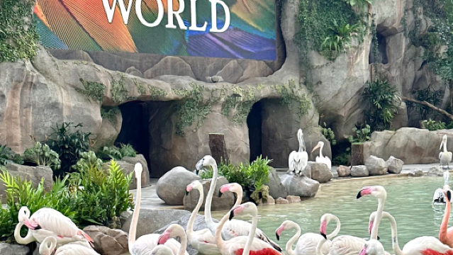 Pakej lawatan sehari ke Bird Kingdom Singapura (termasuk makan tengahari) (tempahan minimum 2 orang)