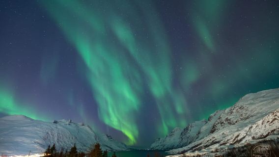 Tromsø: ทัวร์ถ่ายภาพแสงเหนือ