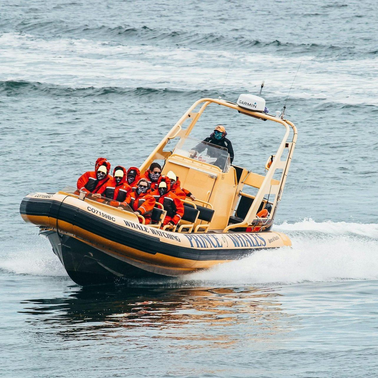 Victoria: Tour guiado de avistamiento de ballenas en grupos pequeños