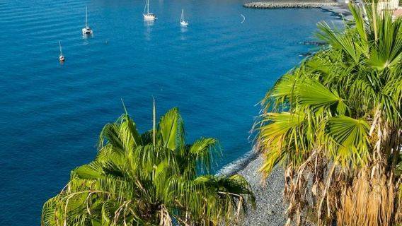 La Gomera: Geführte Tagestour ab Teneriffa + Bootsfahrt + Mittagessen