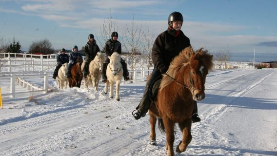 Desde Reikiavik: Paseo a caballo de día completo y recorrido por el Círculo Dorado