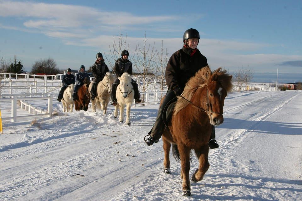 From Reykjavik: Full-Day Horse Riding & Golden Circle Tour