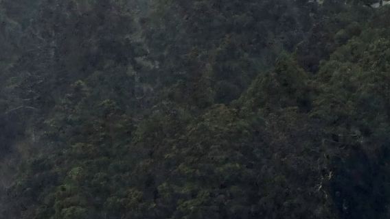 Custom 1-Day Private Chartered Tour in Kanto, Japan [Available for Izu/Yokohama/Nikko/Fuji and More]