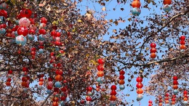 Lawatan sehari dari Huangshan dengan sewaan peribadi 10 jam ke Lembah Jade dan Air Terjun Sembilan Naga.|Boleh diaturkan berlepas dari Pekan Tangkou