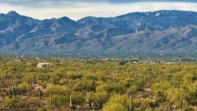 美國鳳凰城-周邊沙漠植物園等-沙漠與城市風光線-包車-精選