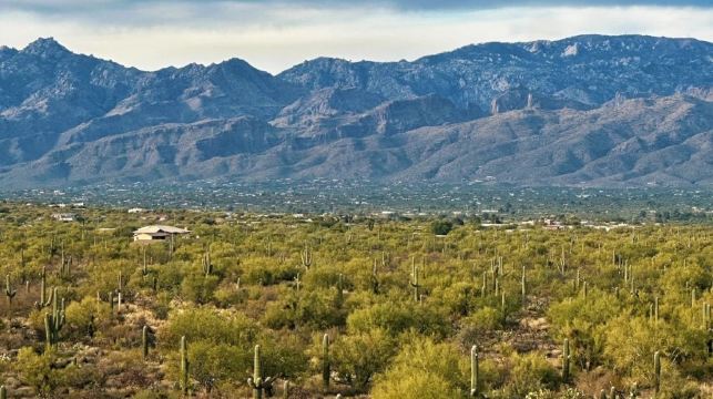 美國鳳凰城-周邊沙漠植物園等-沙漠與城市風光線-包車-精選