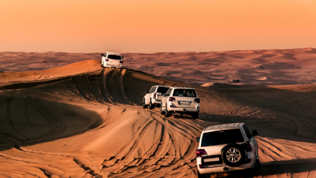 [Dubai Red Dune Desert Adventure] +4hr Private Night Desert Safari
