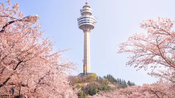 Excursión de un día en Daegu: Paisajes del teleférico de Palgongsan + Vista nocturna romántica en E-World