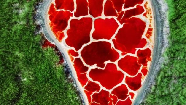 Lawatan Sehari Melintasi Lima Tasik Mongolia Dalam - Tasik Angsa, Tasik Ulan, Tasik Hailiuqi, Tasik Unta, Tasik Gitar