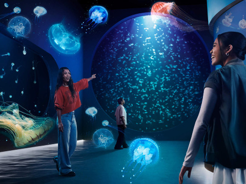 [Singapore Oceanarium] Sentosa SGO oceanarium in Singapore - general admission ticket/multiple packa