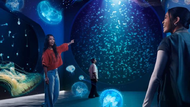 [Singapore Oceanarium] Sentosa SGO oceanarium in Singapore - general admission ticket/multiple packages available - fast ticket issuing
