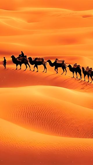 One-Day Tour to Dawakun Desert from Kashgar, Xinjiang - Experience the Azure Waves Amidst the Sands