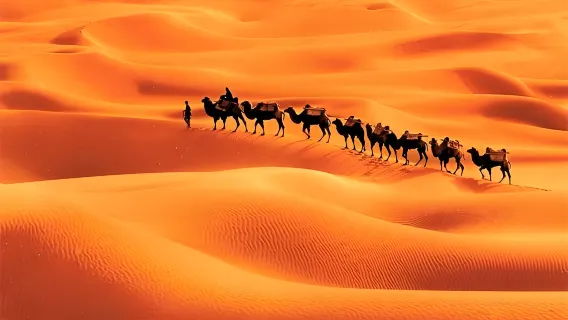 One-Day Tour to Dawakun Desert from Kashgar, Xinjiang - Experience the Azure Waves Amidst the Sands