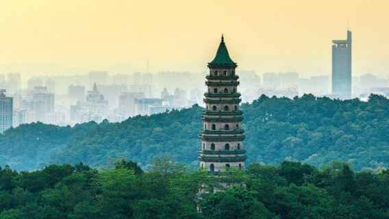 Private small group 1-day tour in Nanning city | Hotel transfer + optional English-speaking guide