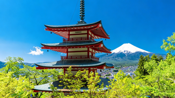 Mount Fuji panoramic 1-day tour: Lake Yamanaka + Lake Kawaguchi + Oshino hakkai + Lawson + Hikawa Clock Shop