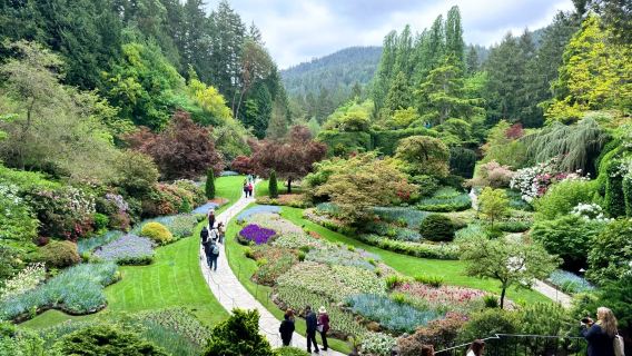 溫哥華來回維多利亞 布查特花園 + 內港 + 漁人碼頭包車