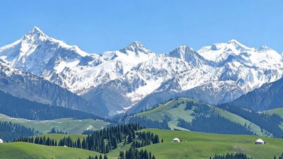 [Kongsi Kenderaan & Lawatan Sewa Peribadi] Lawatan Sehari ke Hutan Simpan Qiaxi Xinjiang Yili | Pengangkutan dari Pintu ke Pintu · Tidak termasuk tiket masuk