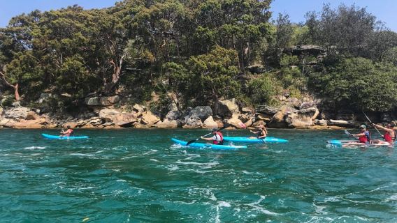Sydney: Guided Kayak Tour of Manly Cove Beaches