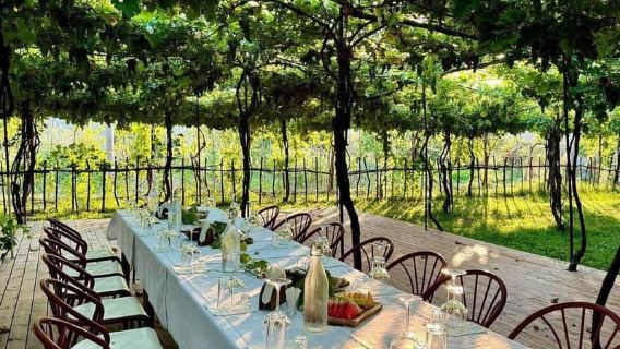 Wine Tasting Experience at Alpeta Winery