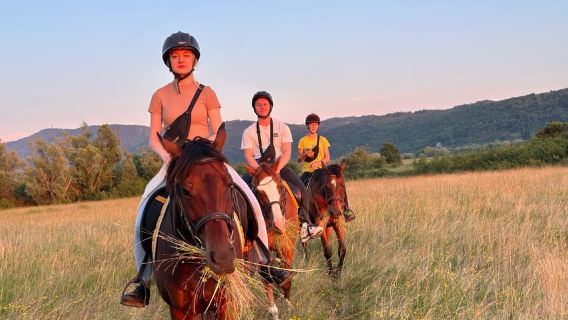 Dubrovnik: Sunset Horseback Ride with Transfers