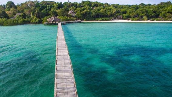 Zanzibar: Blue Lagoon Snorkeling, Starfish &,Paje Beach