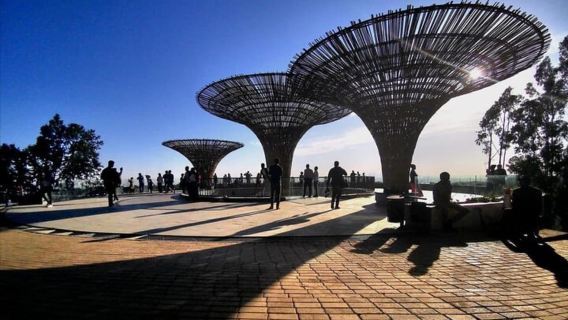 Addis Ababa: Guided Tour with Japanese-Speaking Guide