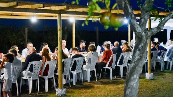 Alghero: lunch or dinner in the vineyard