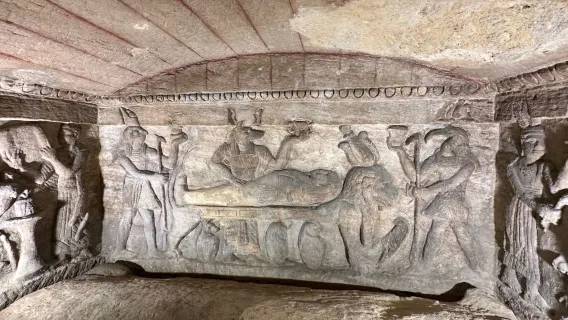 카이로에서 출발하는 알렉산드리아 패키지 투어 (편도 이동 포함)