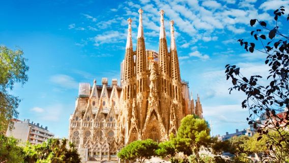 스페인 + 사그라다 파밀리아 + 카사 바트요 + 바르셀로나 피카소 미술관 전세 버스 투어