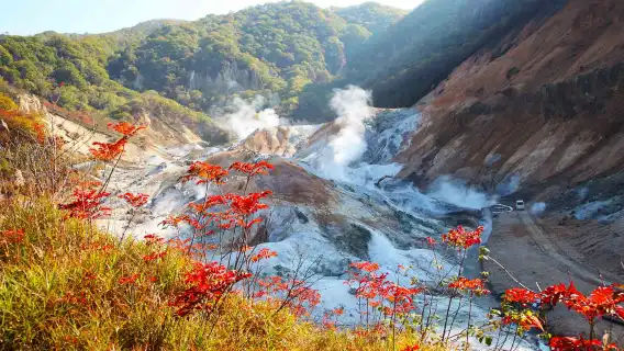 일본 홋카이도 지옥계곡 & 도야호 & 오타루 당일 치기 여행 | 삿포로 출발